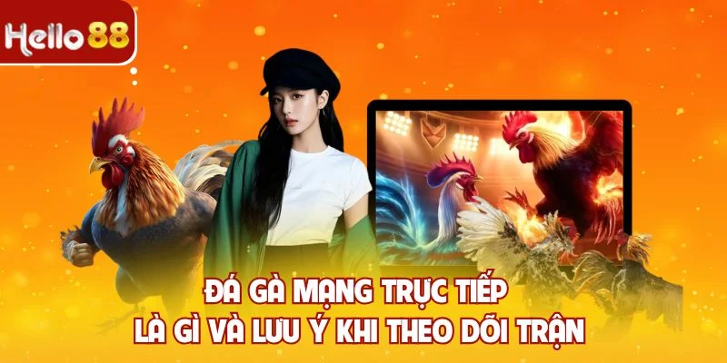 Đá gà mạng trực tiếp