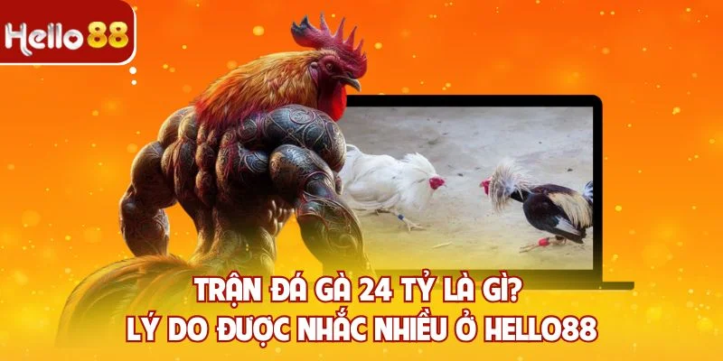 Trận đá gà 24 tỷ